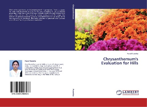 Chrysanthemums Evaluation for Hills
