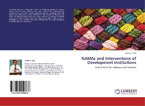 NAMAs and Interventions of Development Institutions: QUICK WINS for Indonesia and Vietnam