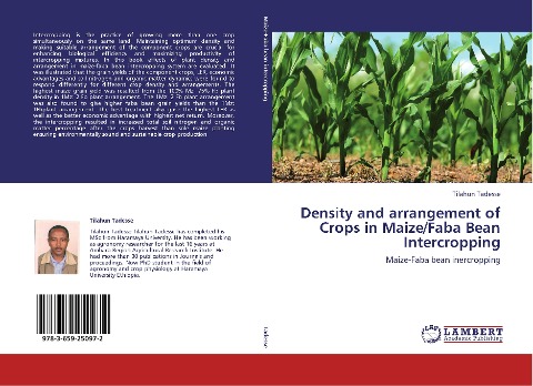 Density and arrangement of Crops in Maize/Faba Bean Intercropping: Maize-Faba bean inercropping