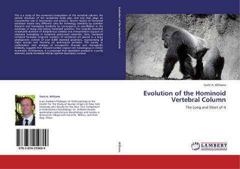 Evolution of the Hominoid Vertebral Column: The Long and Short of It