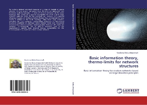 Basic information theory, thermo-limits for network structures: Basic information theory for random networks based on large deviation principles