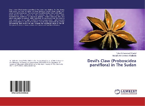 Devils Claw (Proboscidea parviflora) in The Sudan