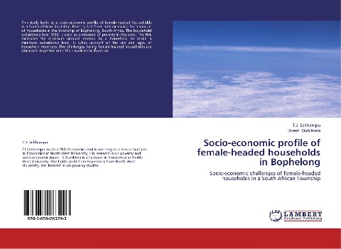 Socio-economic profile of female-headed households in Bophelong: Socio-economic challenges of female-headed households in a South African Township