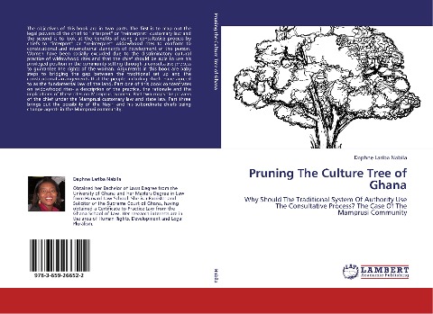 Pruning The Culture Tree of Ghana: Why Should The Traditional System Of Authority Use The Consultative Process? The Case Of The Mamprusi Community