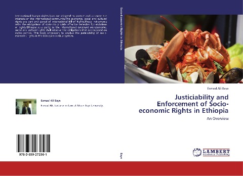 Justiciability and Enforcement of Socio-economic Rights in Ethiopia: An Overview