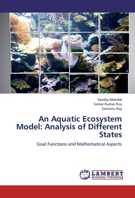 An Aquatic Ecosystem Model: Analysis of Different States: Goal Functions and Mathematical Aspects