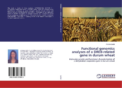 Functional genomics analyses of a DREB-related gene in durum wheat: Molecular genetic and functional characterization of a dehydration-responsive gene in durum wheat