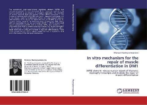 In vitro mechanism for the repair of muscle differentiation in DM1: WPRE element induces nuclear export of Myotonic Dystrophy transcripts and mediate the repair of muscle differentiation