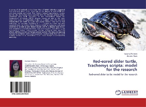 Red-eared slider turtle, Trachemys scripta: model for the research: Red-eared slider turtle: model for the research