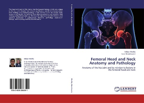 Femoral Head and Neck Anatomy and Pathology: Anatomy of the hip joint and its relation to lesions in the femoral head and neck