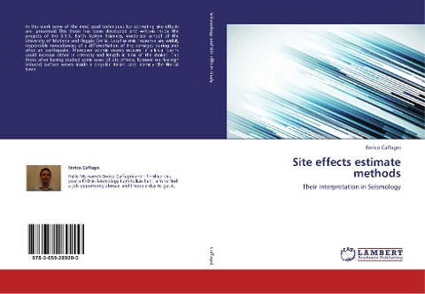 Site effects estimate methods: Their interpretation in Seismology