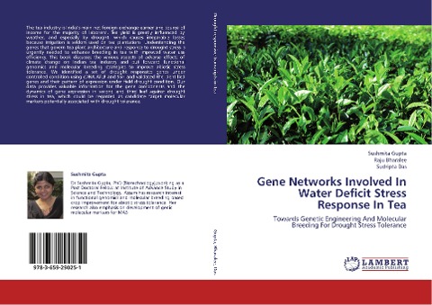 Gene Networks Involved In Water Deficit Stress  Response In Tea: Towards Genetic Engineering And Molecular Breeding For Drought Stress Tolerance