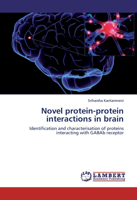 Novel protein-protein interactions in brain: Identification and characterisation of proteins interacting with GABAb receptor