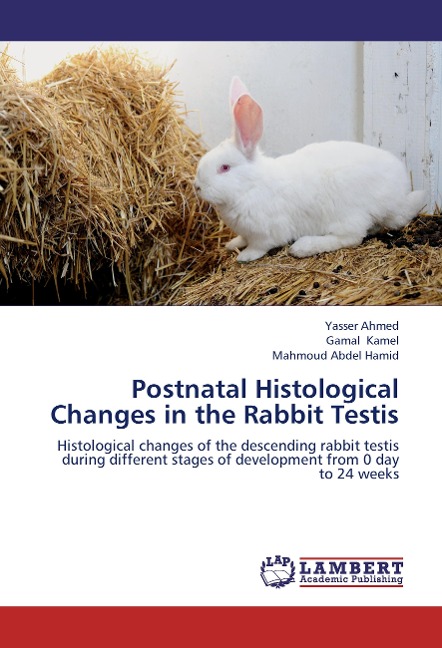 Postnatal Histological Changes in the Rabbit Testis: Histological changes of the descending rabbit testis during different stages of development from 0 day to 24 weeks