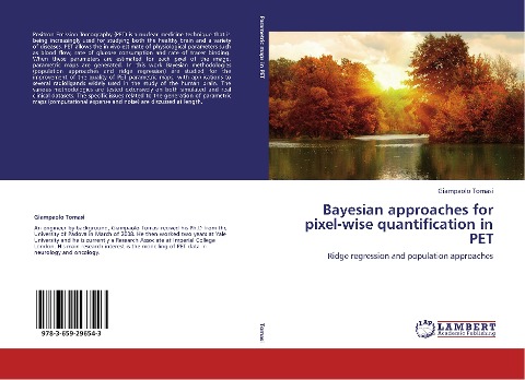 Bayesian approaches for pixel-wise quantification in PET: Ridge regression and population approaches