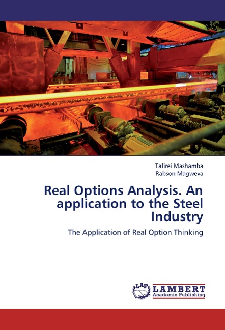 Real Options Analysis. An application to the Steel Industry: The Application of Real Option Thinking