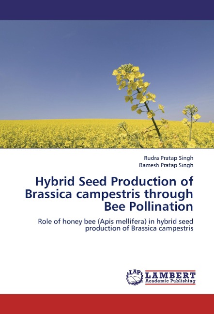 Hybrid Seed Production of Brassica campestris through Bee Pollination: Role of honey bee (Apis mellifera) in hybrid seed production of Brassica campestris