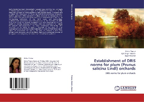 Establishment of DRIS norms for plum (Prunus salicina Lindl) orchards: DRIS norms for plum orchards