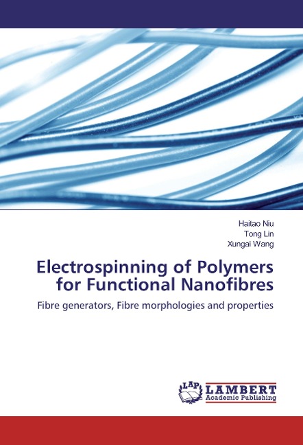 Electrospinning of Polymers for Functional Nanofibres: Fibre generators, Fibre morphologies and properties