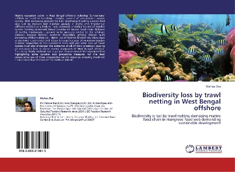 Biodiversity loss by trawl netting in West Bengal offshore: Biodiversity is lost by trawl netting damaging marine food chain in mangrove food web demanding sustainable development