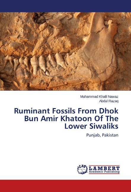 Ruminant Fossils From Dhok Bun Amir Khatoon Of The Lower Siwaliks: Punjab, Pakistan