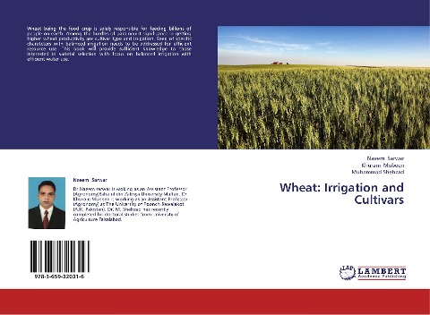 Wheat: Irrigation and Cultivars