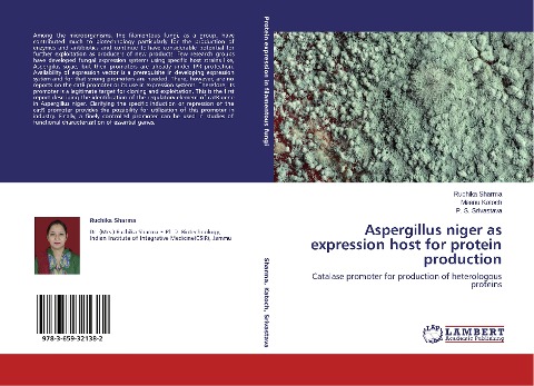 Aspergillus niger as expression host for protein production: Catalase promoter for production of heterologous proteins