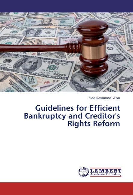 Guidelines for Efficient Bankruptcy and Creditors Rights Reform