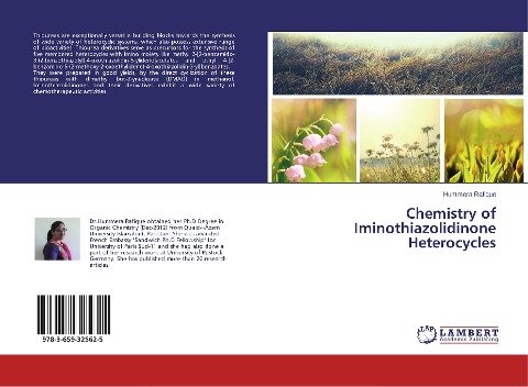 Chemistry of Iminothiazolidinone Heterocycles