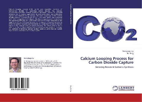 Calcium Looping Process for Carbon Dioxide Capture: Sintering-Resistant Sorbents Synthesis
