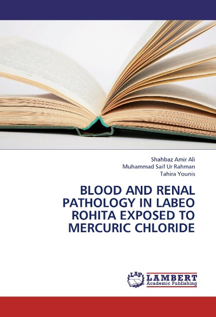Blood and renal pathology in Labeo rohita exposed to mercuric chloride