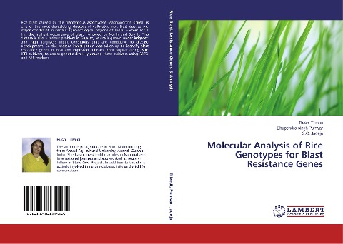 Molecular Analysis of Rice Genotypes for Blast Resistance Genes