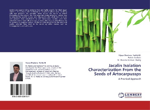 Jacalin Isolation Characterization From the Seeds of Artocarpussps: A Practical Approach