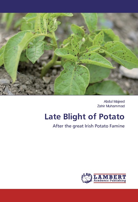 Late Blight of Potato: After the great Irish Potato Famine
