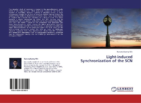 Light-induced Synchronization of the SCN