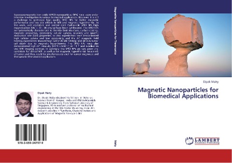 Magnetic Nanoparticles for Biomedical Applications