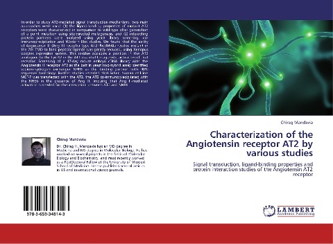 Characterization of the Angiotensin receptor AT2 by various studies: Signal transduction, ligand-binding properties and protein interaction studies of the Angiotensin AT2 receptor