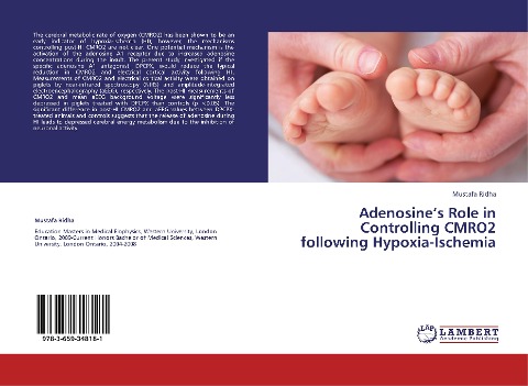 Adenosines Role in Controlling CMRO2 following Hypoxia-Ischemia