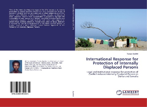 International Response for Protection of Internally Displaced Persons: Legal and Institutional response for protection of Conflict-induced Internally Displaced Persons in Darfur and Somalia