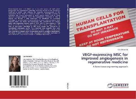 VEGF-expressing MSC for improved angiogenesis in regenerative medicine: A bone tissue engineering approach