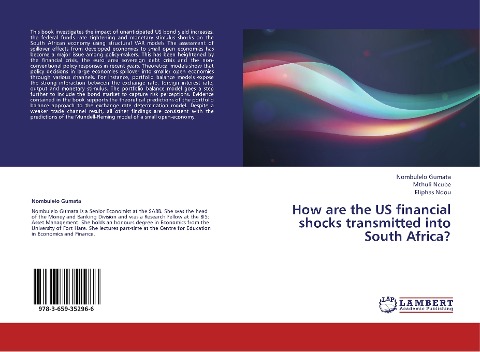 How are the US financial shocks transmitted into South Africa?