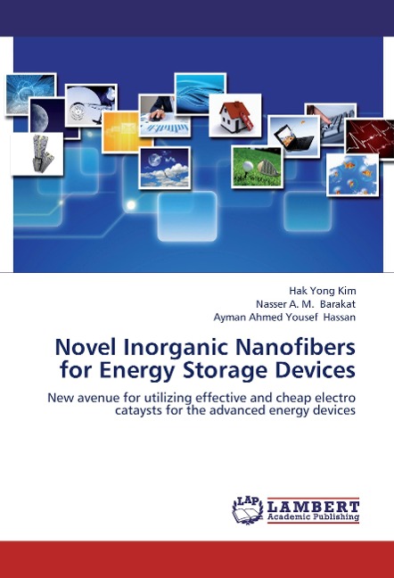 Novel Inorganic Nanofibers for Energy Storage Devices: New avenue for utilizing effective and cheap electro cataysts for the advanced energy devices