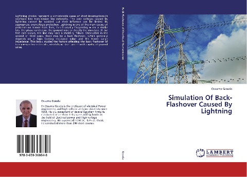 Simulation Of Back-Flashover Caused By Lightning