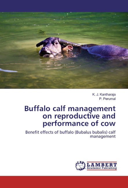 Buffalo calf management on reproductive and performance of cow: Benefit effects of buffalo (Bubalus bubalis) calf management