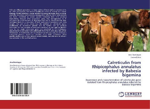 Calreticulin from Rhipicephalus annulatus infected by Babesia bigemina: Expression and characterization of calreticulin gene isolated from Rhipicephalus annulatus infected by Babesia bigemina