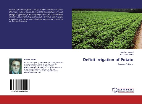 Deficit Irrigation of Potato: Santeh Cultivar