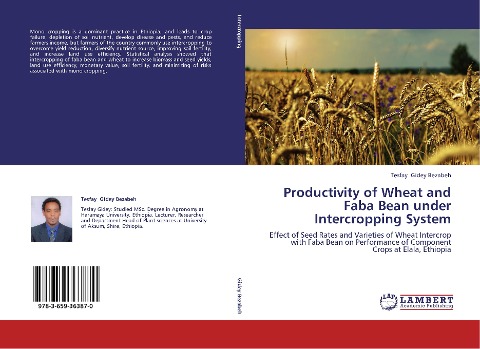 Productivity of Wheat and Faba Bean under Intercropping System: Effect of Seed Rates and Varieties of Wheat Intercrop with Faba Bean on Performance of Component Crops at Elala, Ethiopia