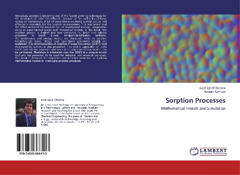Sorption Processes: Mathematical Models and Simulation
