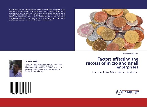 Factors affecting the success of micro and small enterprises: In case of Debre Tabor town administration