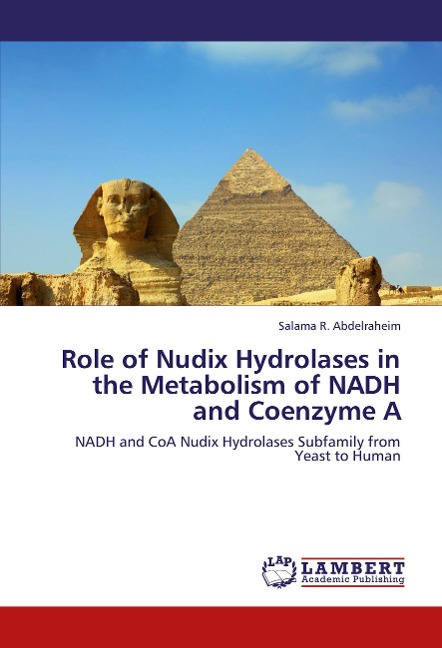 Role of Nudix Hydrolases in the Metabolism of NADH and Coenzyme A: NADH and CoA Nudix Hydrolases Subfamily from Yeast to Human